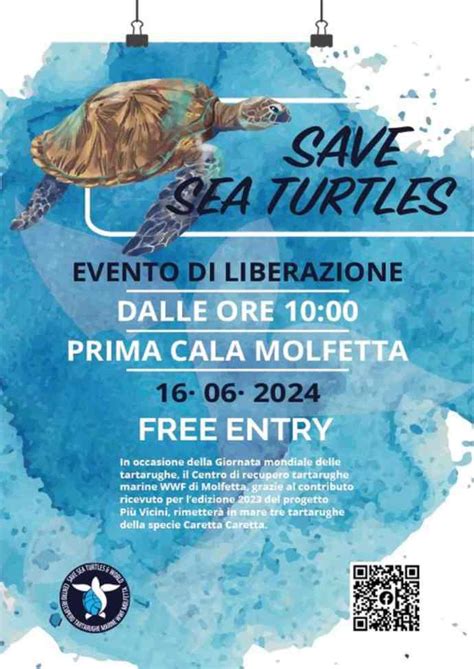 Domenica Grande Festa A Molfetta Per La Giornata Mondiale Delle