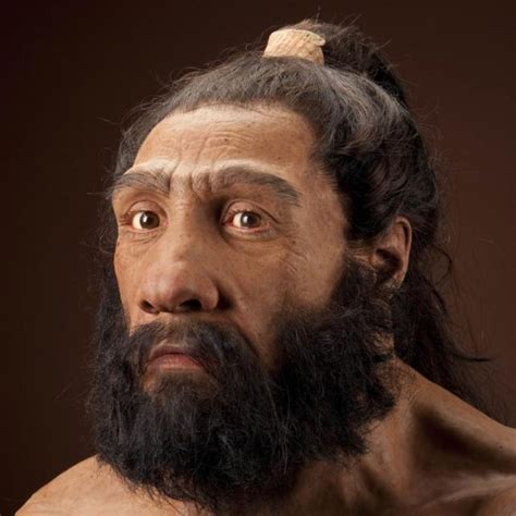 Neanderthal Anatomy