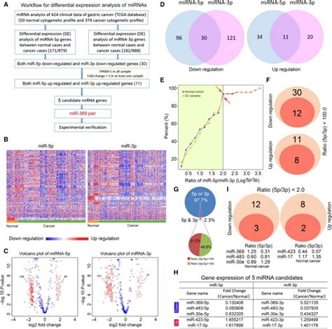 Consistency Analysis Of MicroRNA Arm Expression Reveals MicroRNA 369 5p