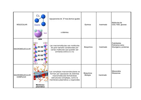 Solution Niveles De Organizacion De La Materia Studypool