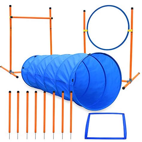 14 Best Agility Sets + Equipment for Dogs for Home Training