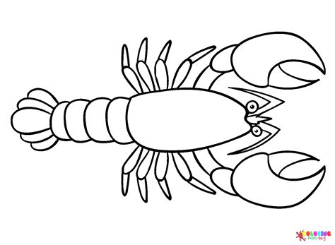 Langosta Para Colorear Y Pintar Im Genes Para Dibujar Gratis