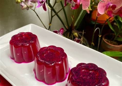 Resep Puding Buah Naga Oleh Citra Paramita Cookpad