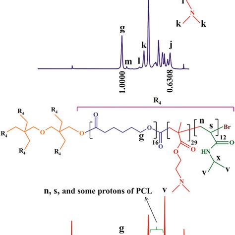 The 1 H Nmr Spectra Of The S Pcl G Pdmaema And S Pcl G Pdmaema B