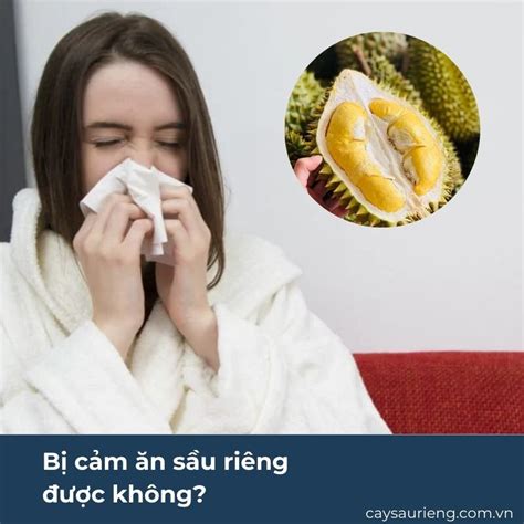 Bị Cảm ăn Sầu Riêng được Không Lưu ý Quan Trọng Khi ăn Sầu Riêng đối