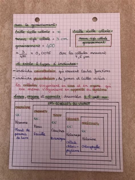 Extr Mistes Effacement Consultation Fiche De R Vision Svt Brevet