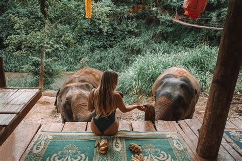 A Travel Guide to Chai Lai Orchid Elephant Sanctuary in Thailand ...