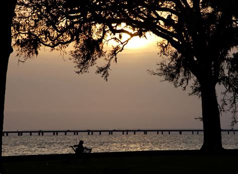 mandeville lakefront lakefront outdoor world