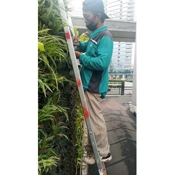 Jual Perawatan Taman Memberikan Pupuk Daun Di Graha Zurich 04 03 2023