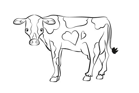 Premium Vector Hand Drawn Cow Outline Illustration