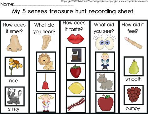 Image Result For 5 Senses Scavenger Hunt Senses And Brain Pinterest