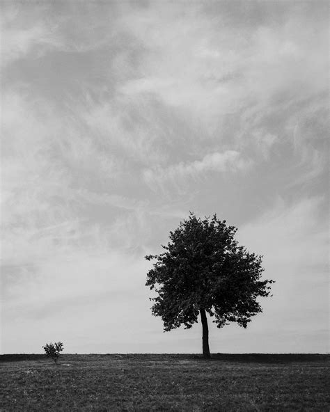 Black and White Landscape Photography/ Digital Print/art Print/wall Art ...