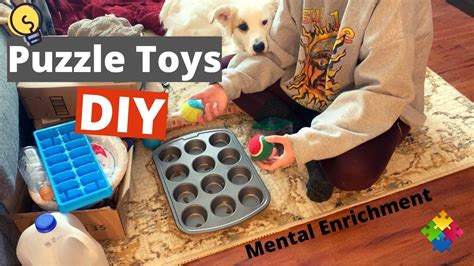 puppy enrichment toys diy - Lise Freitas