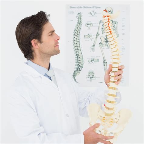 Well-Researched La Grande Chiropractic Spinal Manipulation for Back
