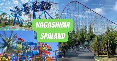 Nagashima Spa Land: A Thrilling Amusement Park Experience