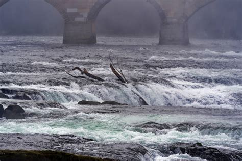 100+ Rhine Falls Winter Stock Photos, Pictures & Royalty-Free Images ...