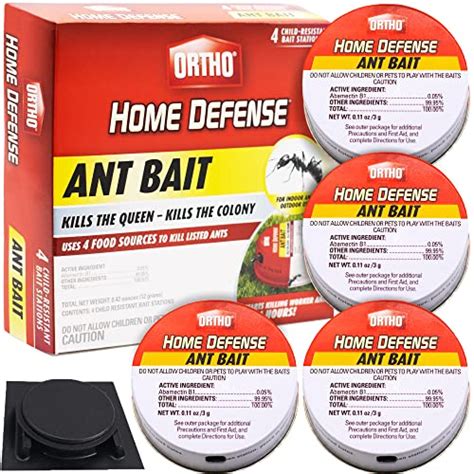 Top 10 Best Ant Traps For Indoors : Reviews & Buying Guide - Katynel