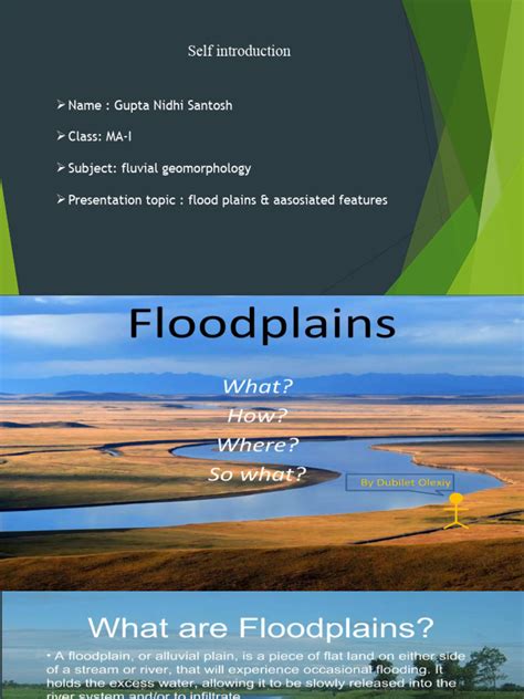 Fluvial Geomorphology | PDF