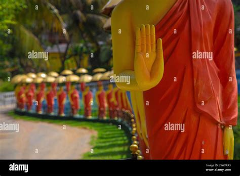 Dambulla Sri Lanka 10 February 2023 Row Of Buddhist Monk Statues