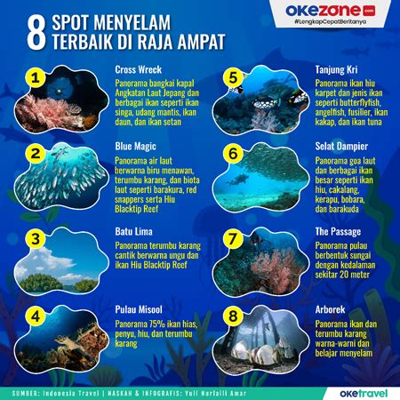 Spot Menyelam Terbaik Di Raja Ampat Foto Okezone Infografis