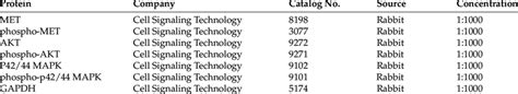 Primary antibodies for Western blot. | Download Scientific Diagram