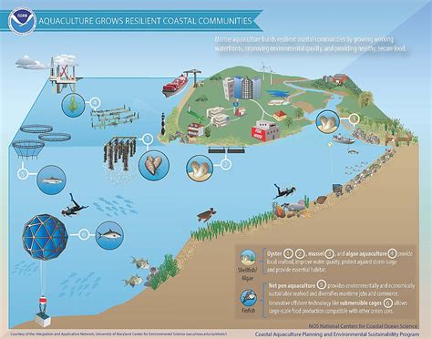 Marine Aquaculture Seafood For The Future Aquarium Of The Pacific