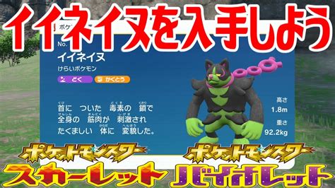 ポケモンSVイイネイヌを入手しようポケットモンスター スカーレットバイオレット ゼロの秘宝 碧の仮面Pocket Monsters