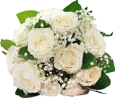 Bouquet De Roses Blanches Png Tube Mariage Noces