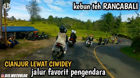 Jalur Cianjur Cidaun Naringgul Lewat Ciwidey Kebun Teh Cibuni Ciwidey