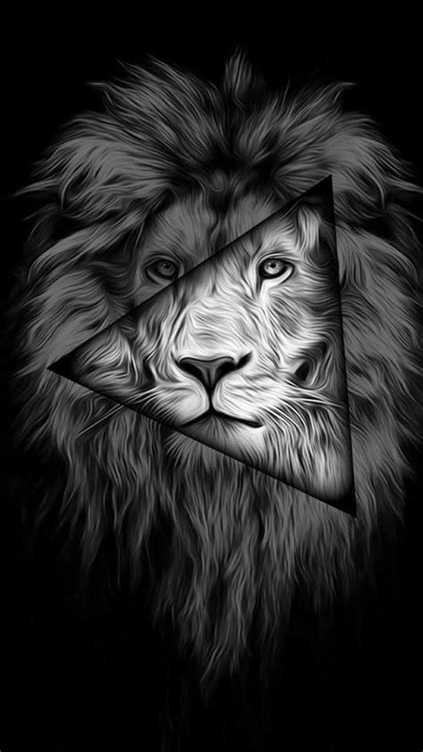 Black And White Lion Iphone Wallpaper