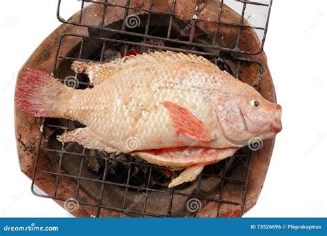 Pescados Rojos Asados A La Parrilla De La Tilapia Del Nilo Foto De