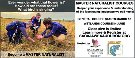 how to become a master naturalist