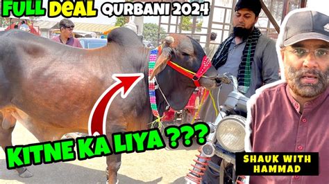 Kitne Ka Liya Live Soda Qurbani 2024 Kitne Ka Hona Chayay Shauk