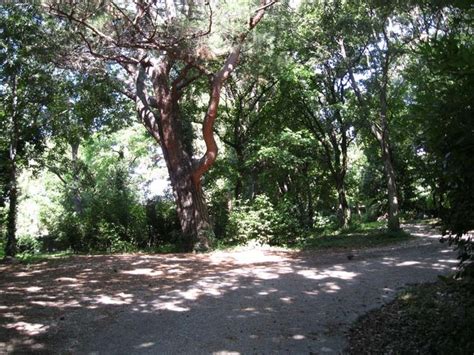 Parco Di Villa Sartorio Il Giardino Si Colloca Nel Suburbio Triestino