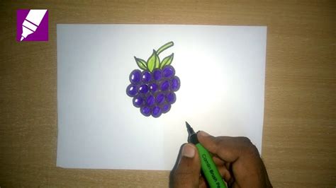 How To Draw A Blackberry How To Draw Fruits Easy Step By Step