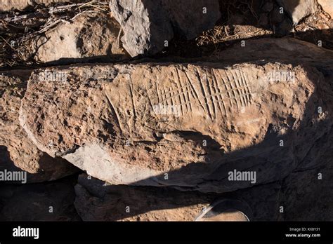 Ancient Guanche Rock Markings Along The Route From Aldea Blanca To San