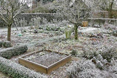 Préparer son Jardin en Décembre Protéger ses Plantes du Froid et