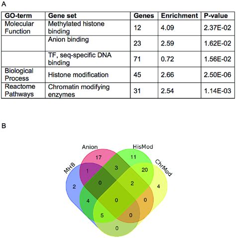 Go Term Enrichment Analysis A Highly Correlated Genes Were Subject To