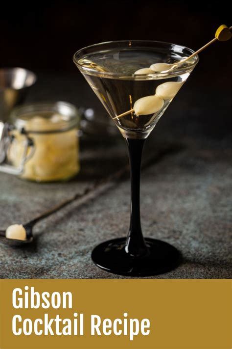 Gibson Cocktail Recipe | Gibson cocktail recipe, Cocktail recipes ...