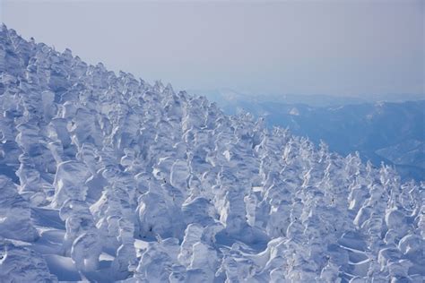 Premium Photo | Mount zao in winter season. the snow-covered trees, the ...