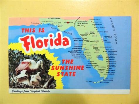 This Is Florida The Sunshine State Vintage Map Postcard Ebay