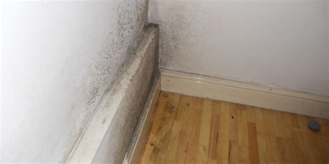 What Causes Damp Walls | Damp Walls in Surveys