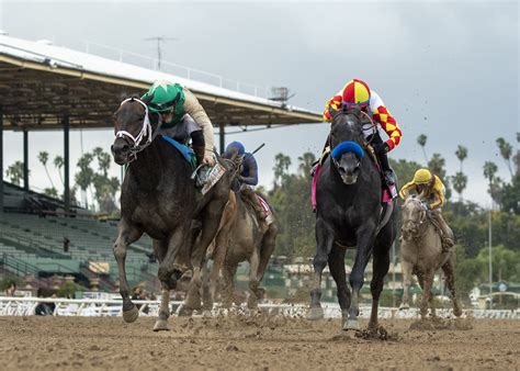 Santa Anita Results Equibase | EOUA Blog