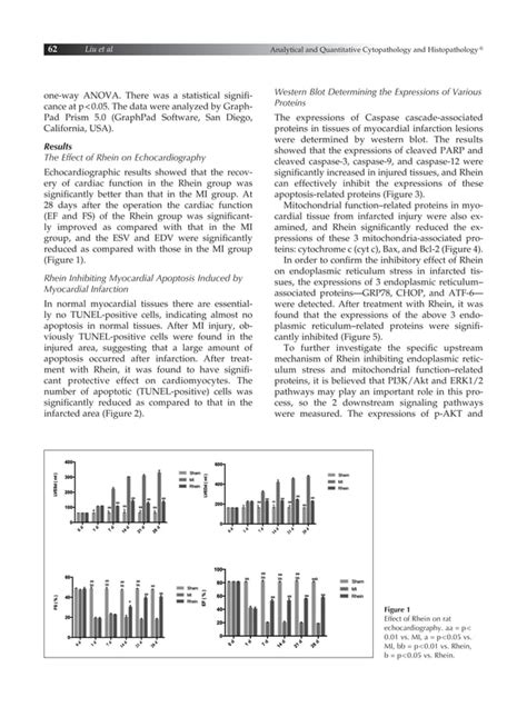 Mechanism Of Rhein Inhibiting Acute Myocardial Infarctioninduced