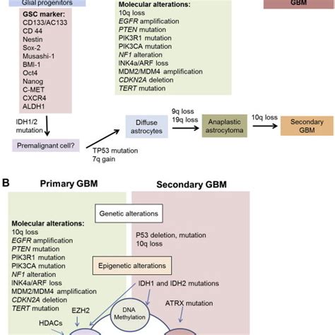 Genetic Alterations And Aberrant Signaling Pathways In Primary And Download Scientific Diagram