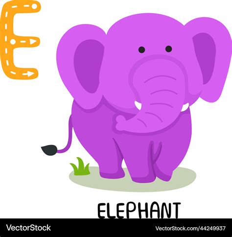 Isolated animal alphabet letter e-elephant Vector Image