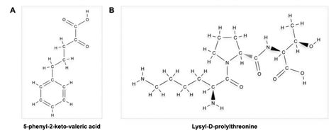 Structure of the tripeptides KPV (A), Lys-Pro-Val, and KdPT (B ...