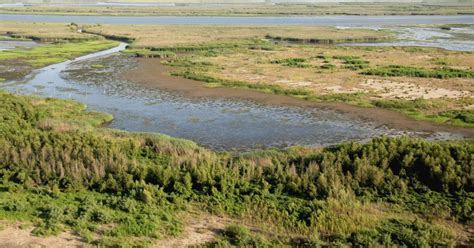 Largest Ecosystem Restoration Project in U.S. History Receives Final ...