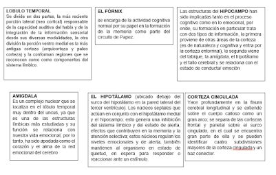 Sistema Limbico Y Su Funcionalidad