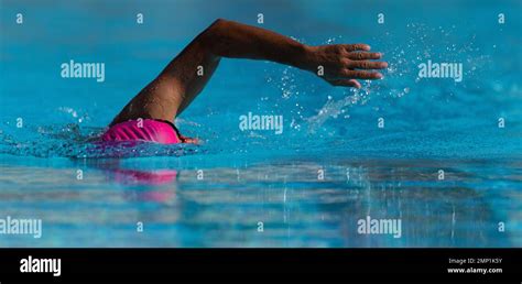 Swim Competition Swimmer Athlete Doing Crawl Stroke In Swimming Pool